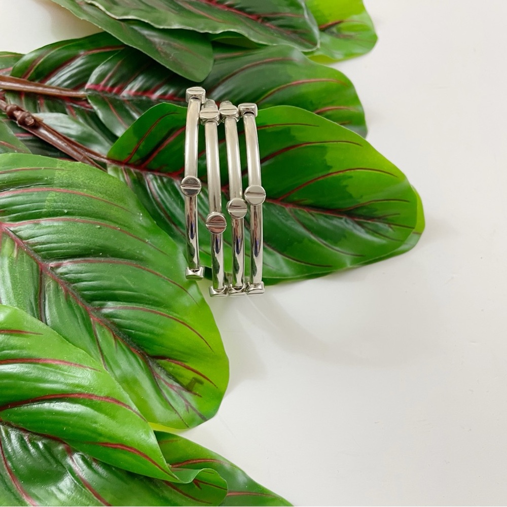 NWOT Elegant Stainless Steel Screw Head Bangle Set